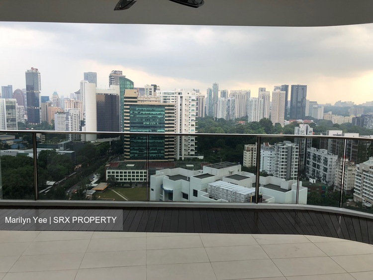 Trilight thumbnail photo